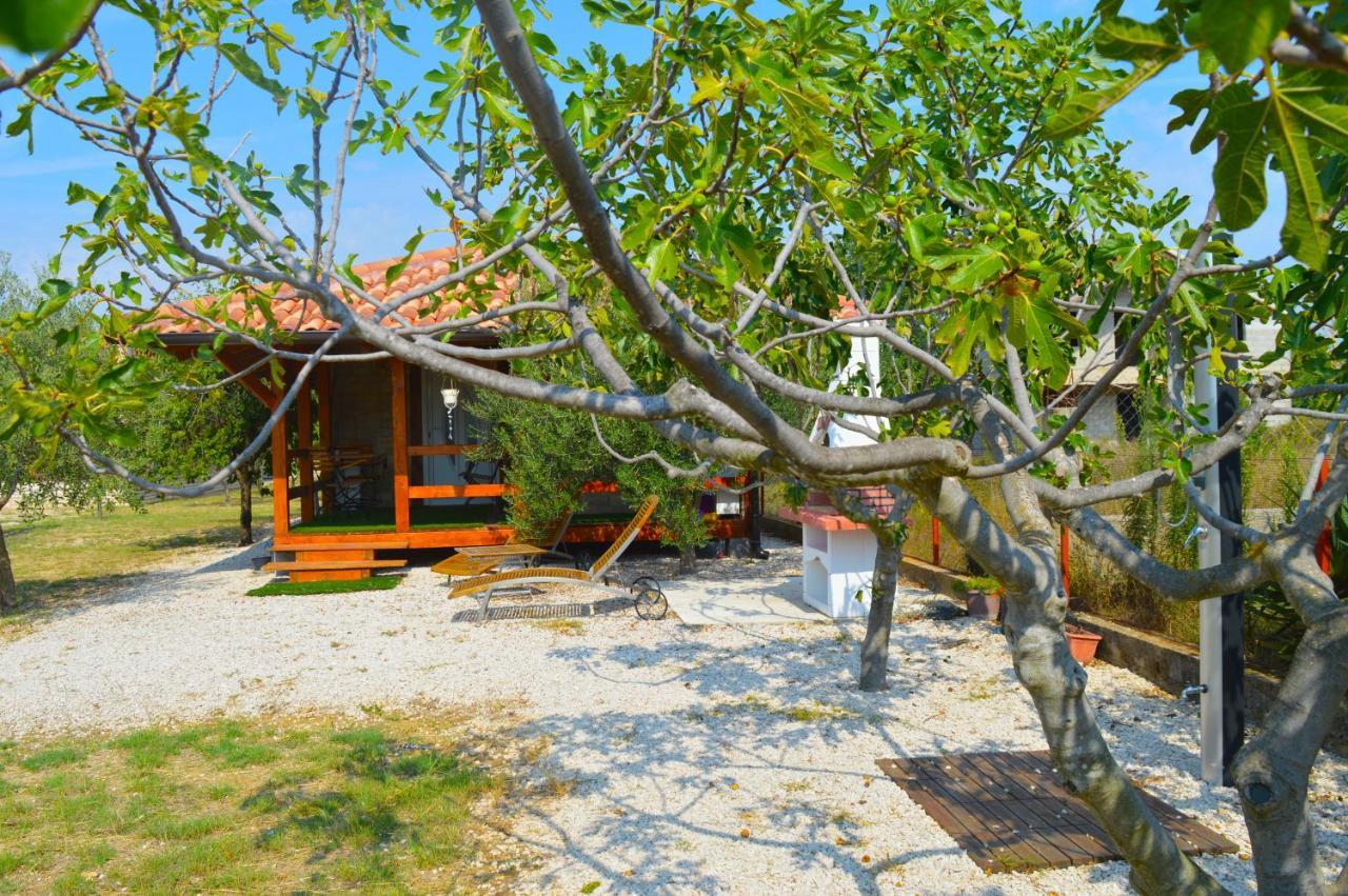 Studio Apartments Luka Biograd - เบนโควัส ภายนอก รูปภาพ