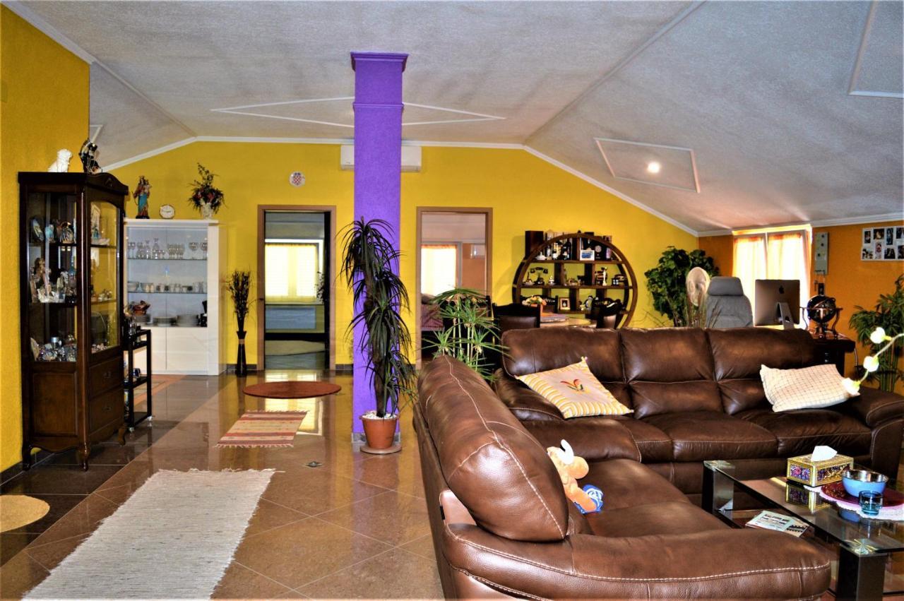 Studio Apartments Luka Biograd - เบนโควัส ภายนอก รูปภาพ