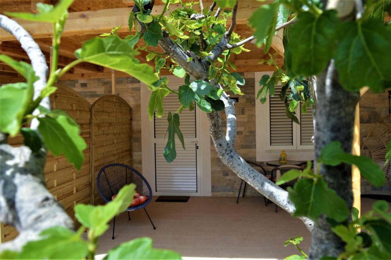 Studio Apartments Luka Biograd - เบนโควัส ภายนอก รูปภาพ